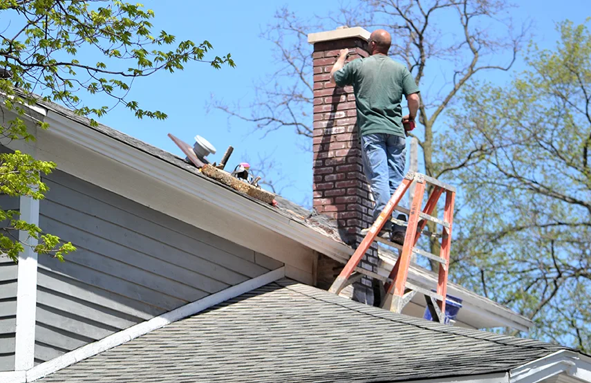 Chimney & Fireplace Inspections Services in Hinesville, GA